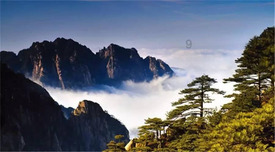 老师们对于网课这种形式,你们怎么看?-全球最大的老师们对于网课这种形式,你们怎么看?社区