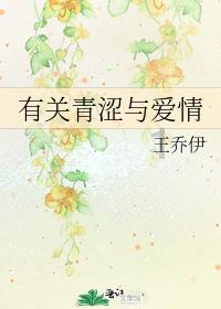 巫师2：刺客之王