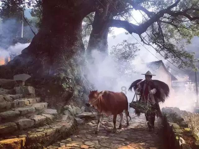 夜游战士