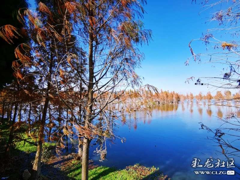 30厘米！湖南南岳积雪最深！最低气温-9.2℃，在这个地方
