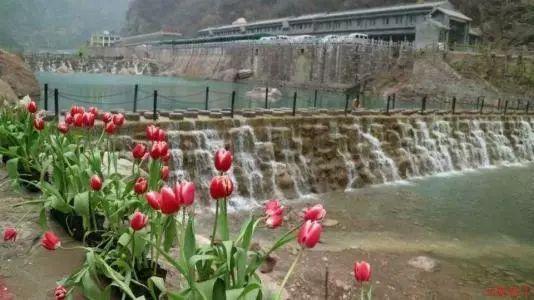 上海合晶拟发行6.62亿股,1月30日进行网上申购