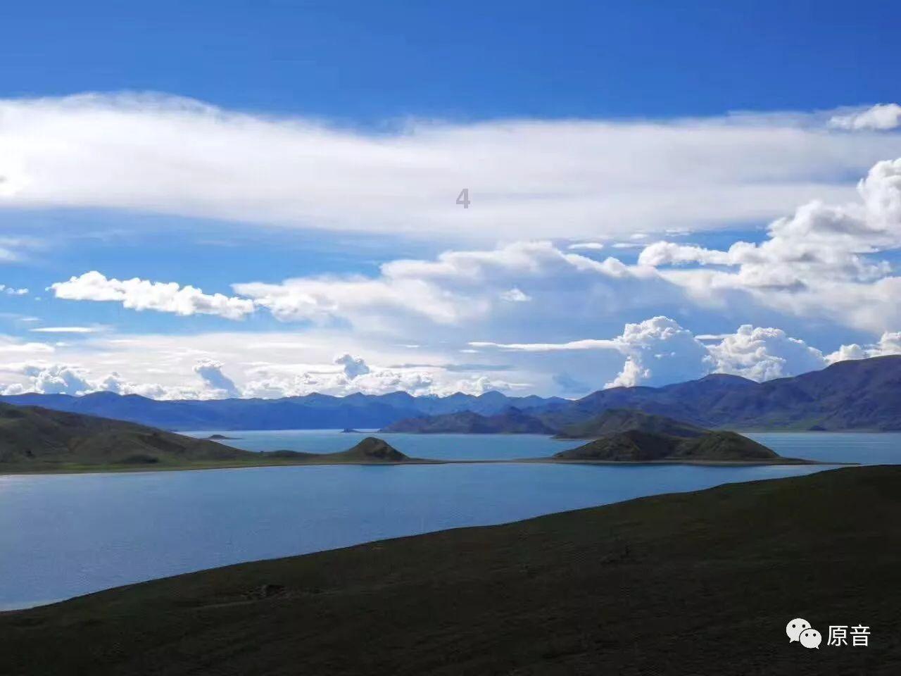 年纪越大越要管住嘴，少吃哪几类？多吃哪几类呢？游戏画面