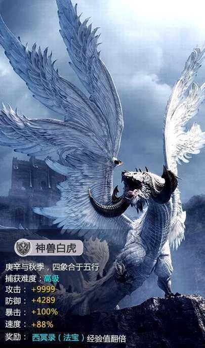 救援秀气的男孩