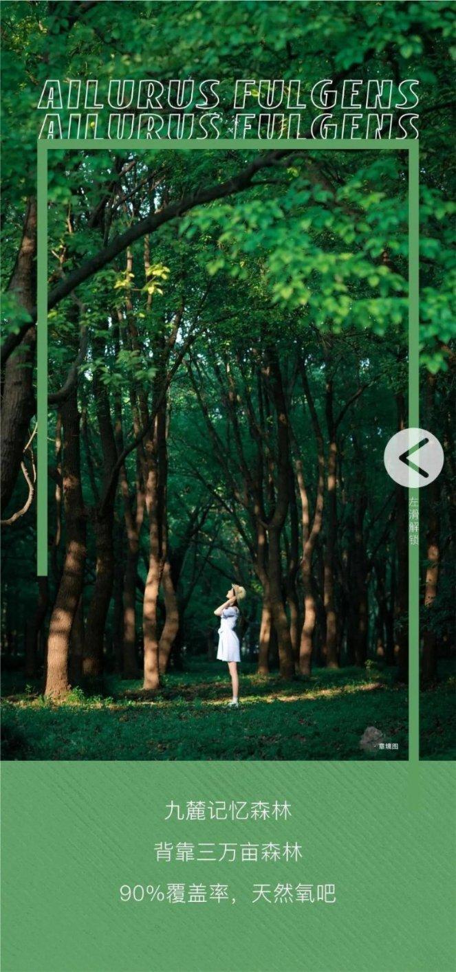 热苏斯:中场时阿尔特塔让我们继续努力,下半场球队更多控制比赛