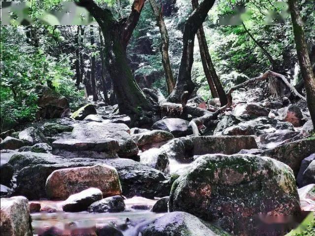 月光影视