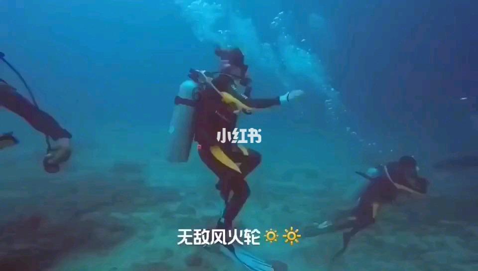荧光淬灭剂Tide Quencher 5WS胺,广泛适用于各种生物标记和荧光探针的应用