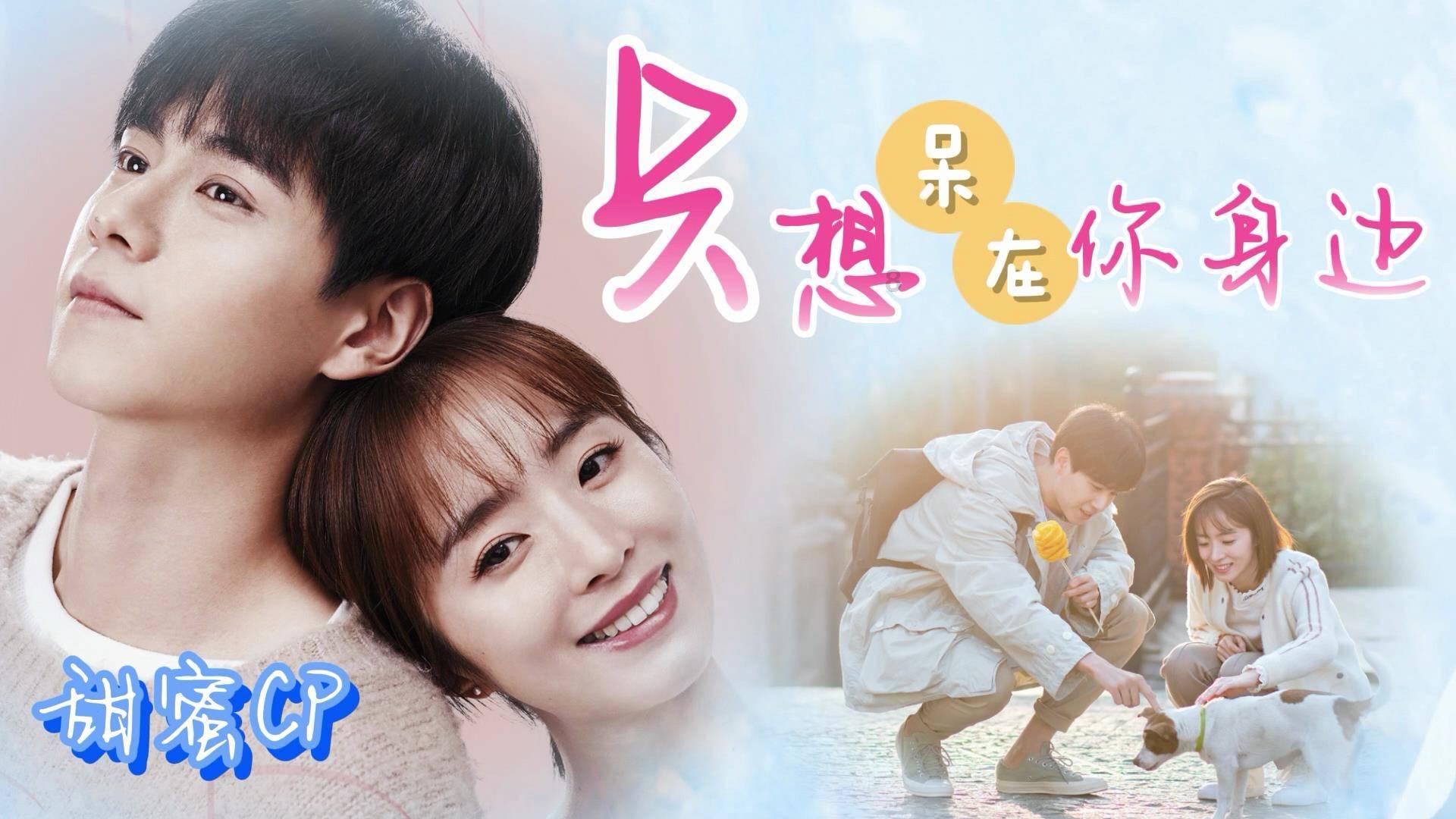 精彩乒乓球赛