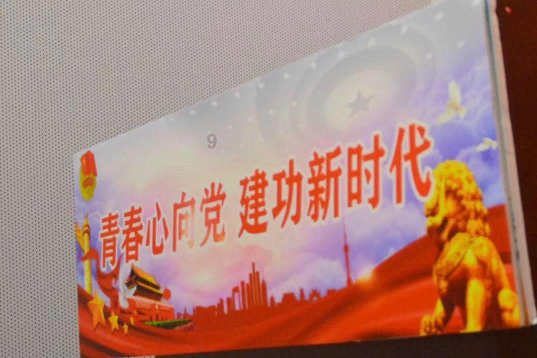生化危机：浣熊市行动