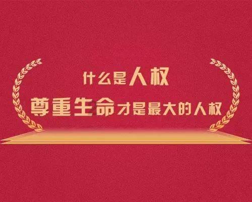蔬菜忍者