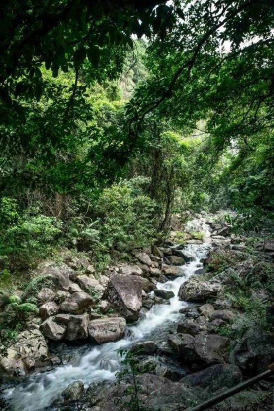 盐、糖、脂肪，吃也能上瘾？食物成瘾带来的危害，这类人要注意了
