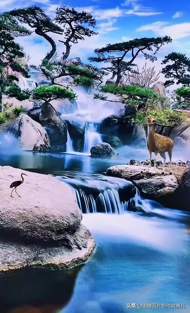 渡仙引