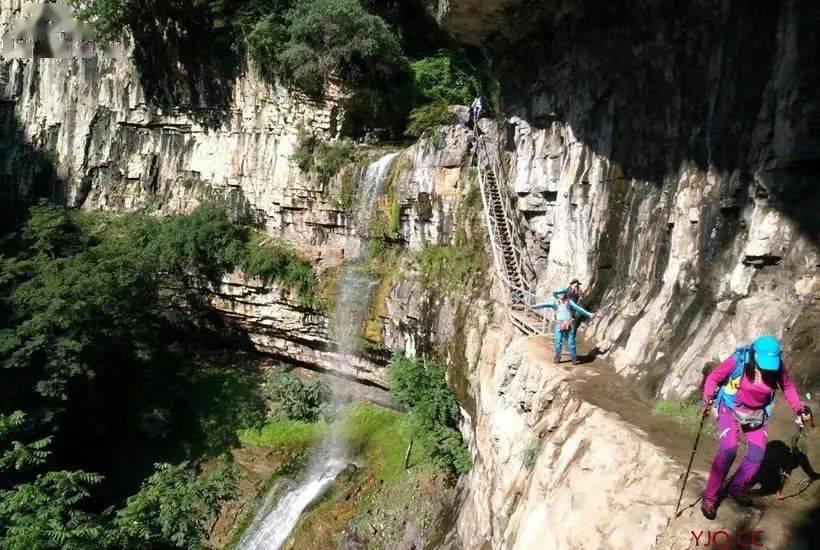 牛油果面包