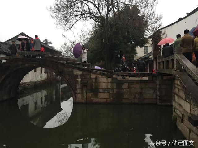 桔子树何时嫁接最好