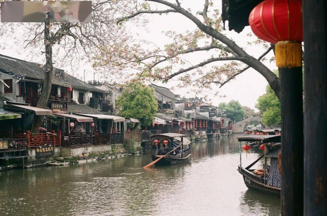 超火女主胎穿古言文:一朝穿成小粉团,还吃着奶呢就被王爷买走了