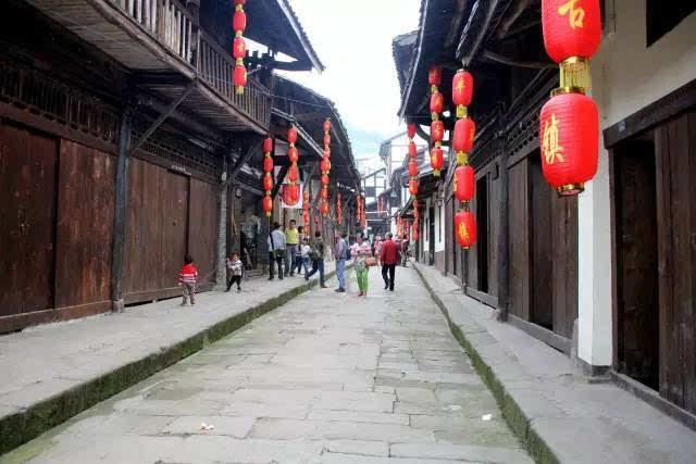 俗语云:“头生九龙骨,早晚必显贵”,其中“九龙骨”指什么?