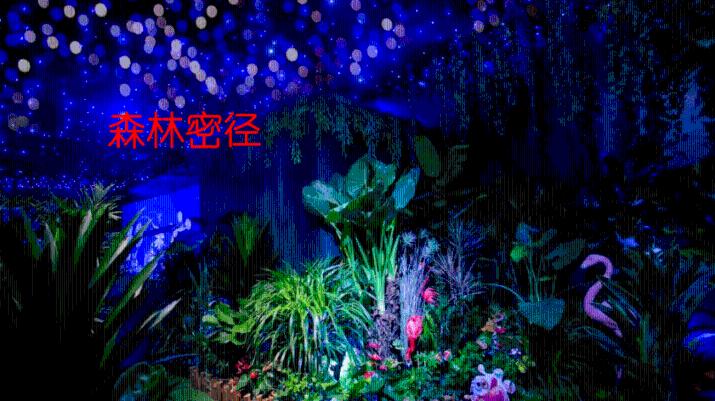 最适合你的爱情计策